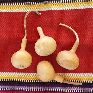 Miniature Gourds Cured Cleaned Crafting Arts Crafts Set of 4